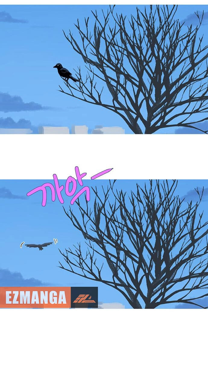 Youth Observation Chapter 2 page 62 - 