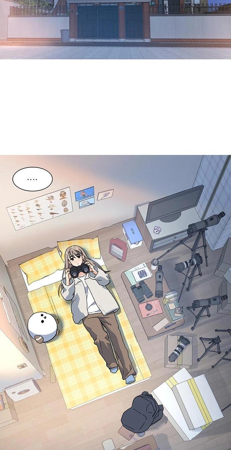 Youth Observation Chapter 3 page 17 - 