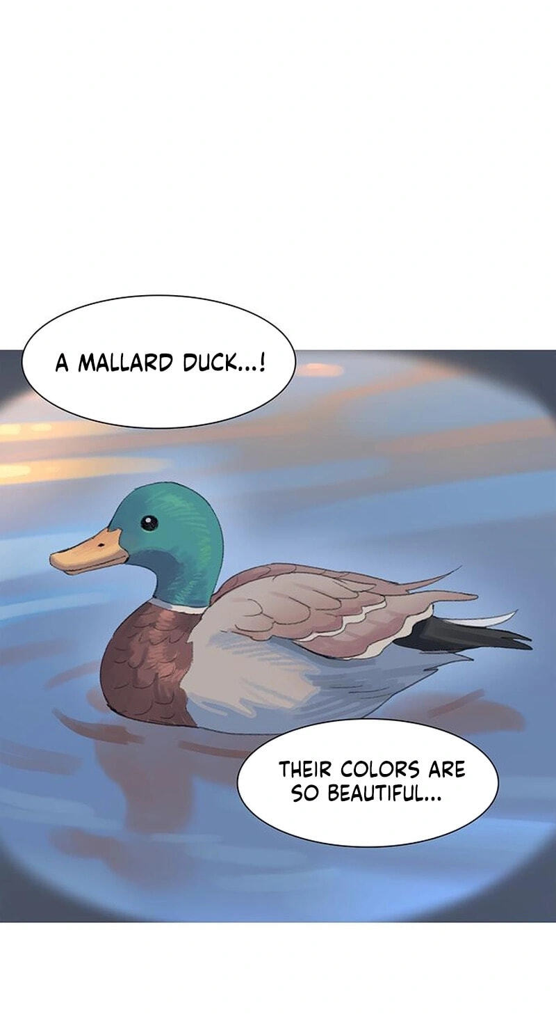 Youth Observation Chapter 3 page 37 - 