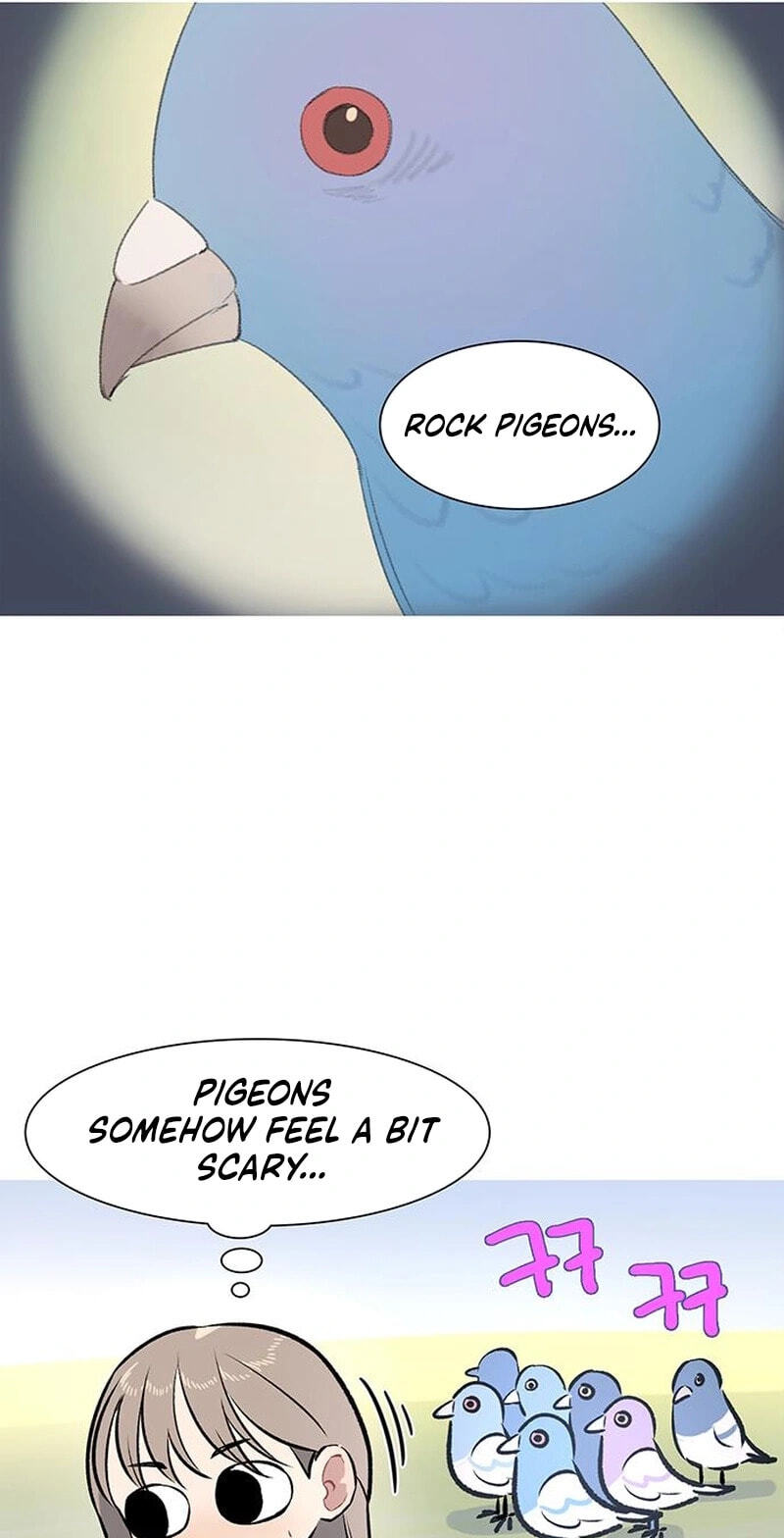 Youth Observation Chapter 3 page 39 - 