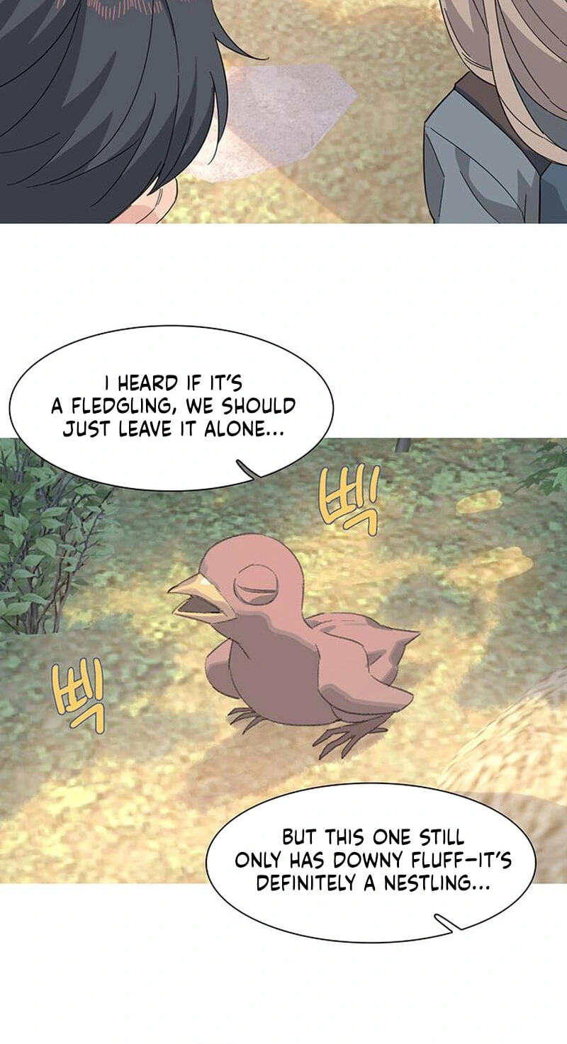 Youth Observation Chapter 3 page 57 - 