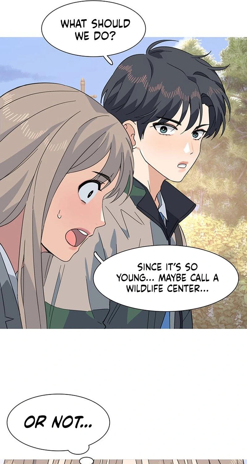 Youth Observation Chapter 3 page 58 - 