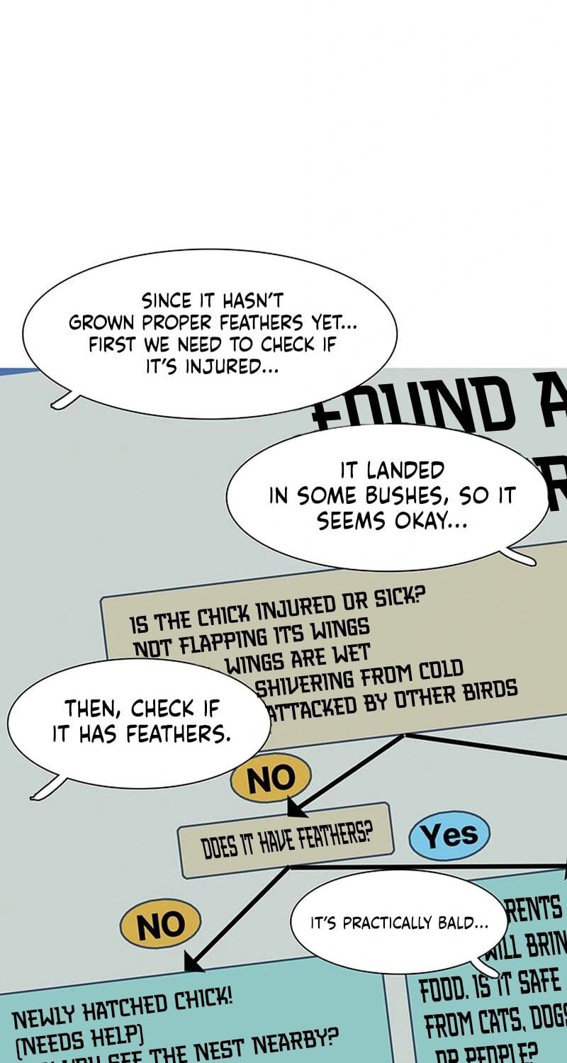 Youth Observation Chapter 3 page 63 - 
