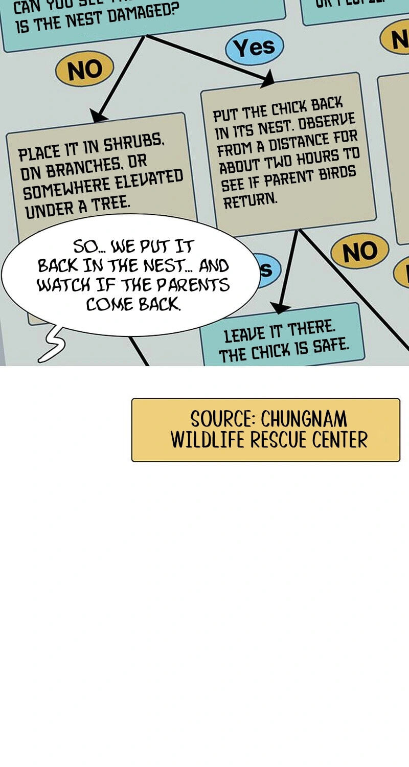 Youth Observation Chapter 3 page 64 - 
