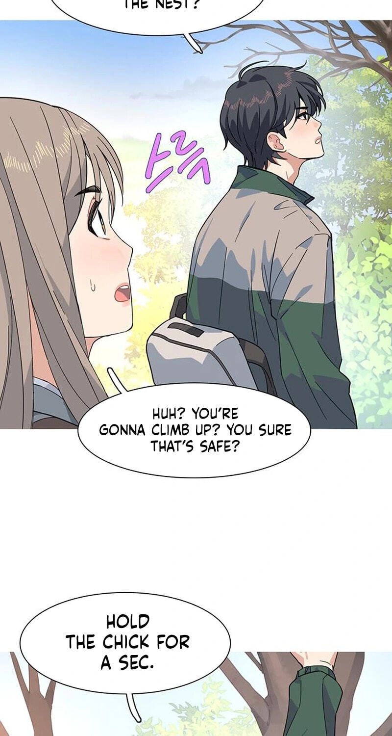Youth Observation Chapter 3 page 66 - 