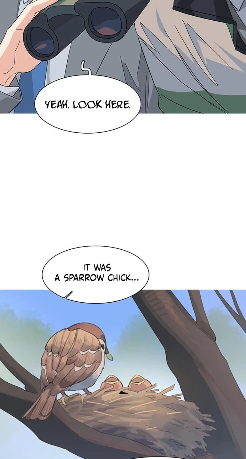 Youth Observation Chapter 3 page 89 - 