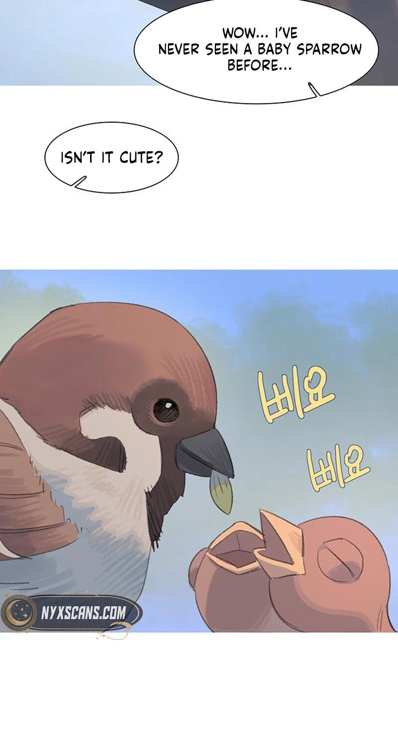 Youth Observation Chapter 3 page 90 - 