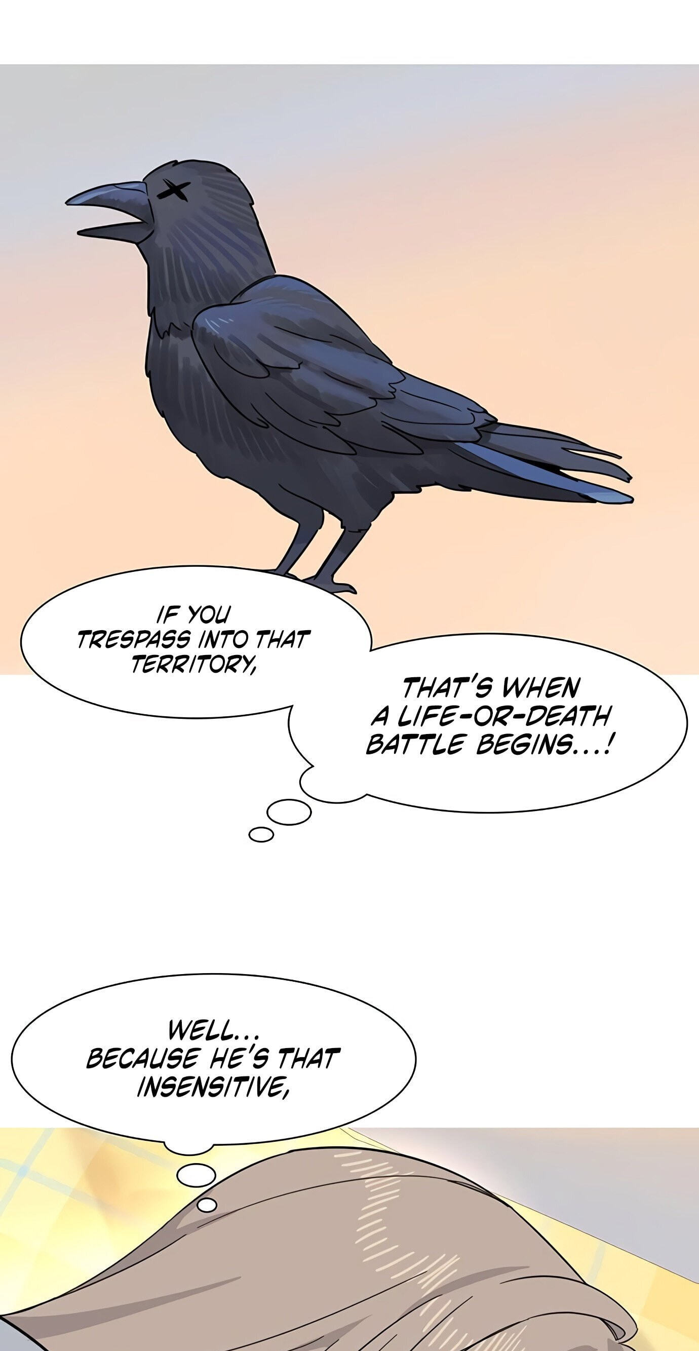 Youth Observation Chapter 6 page 27 - 