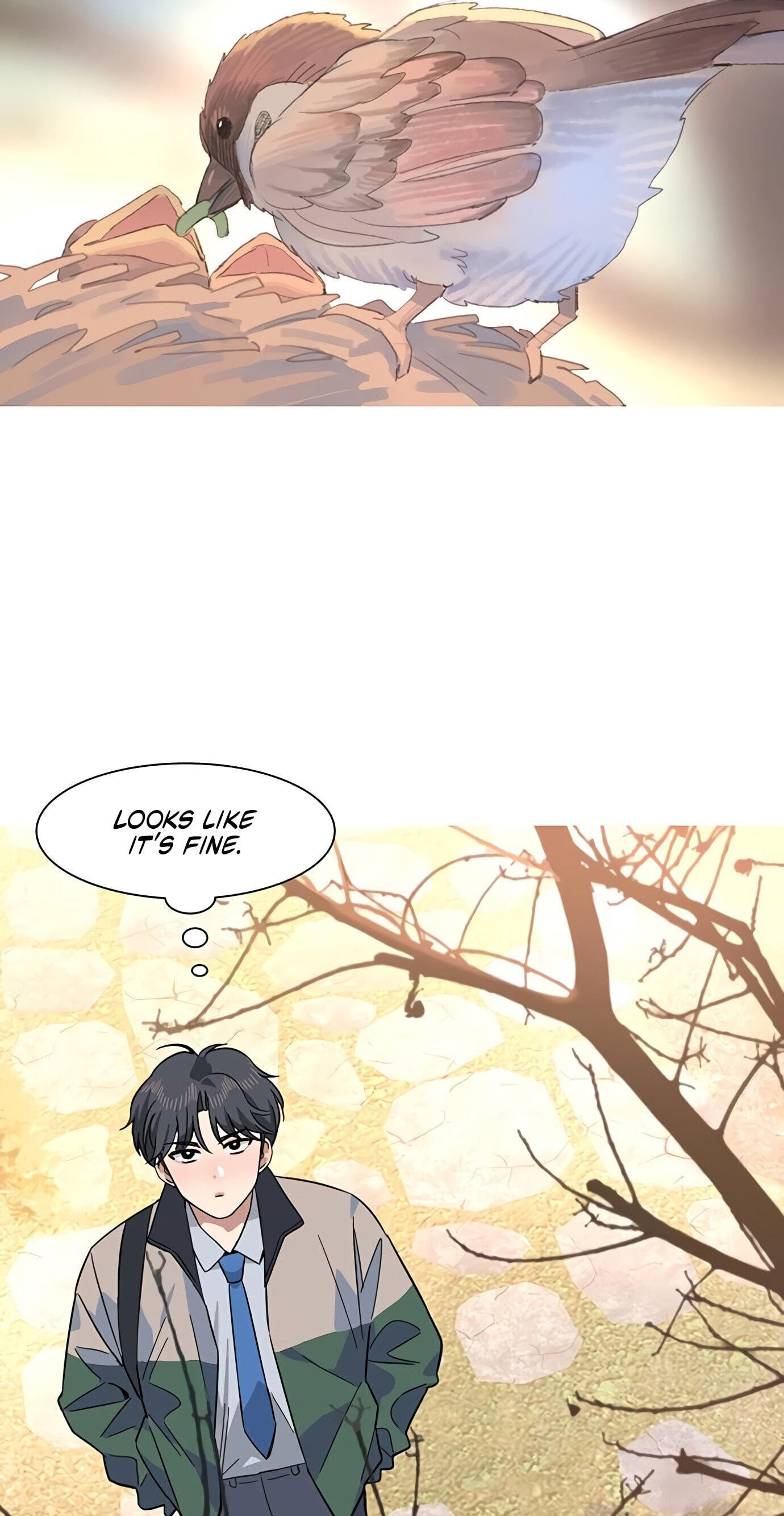 Youth Observation Chapter 6 page 71 - 