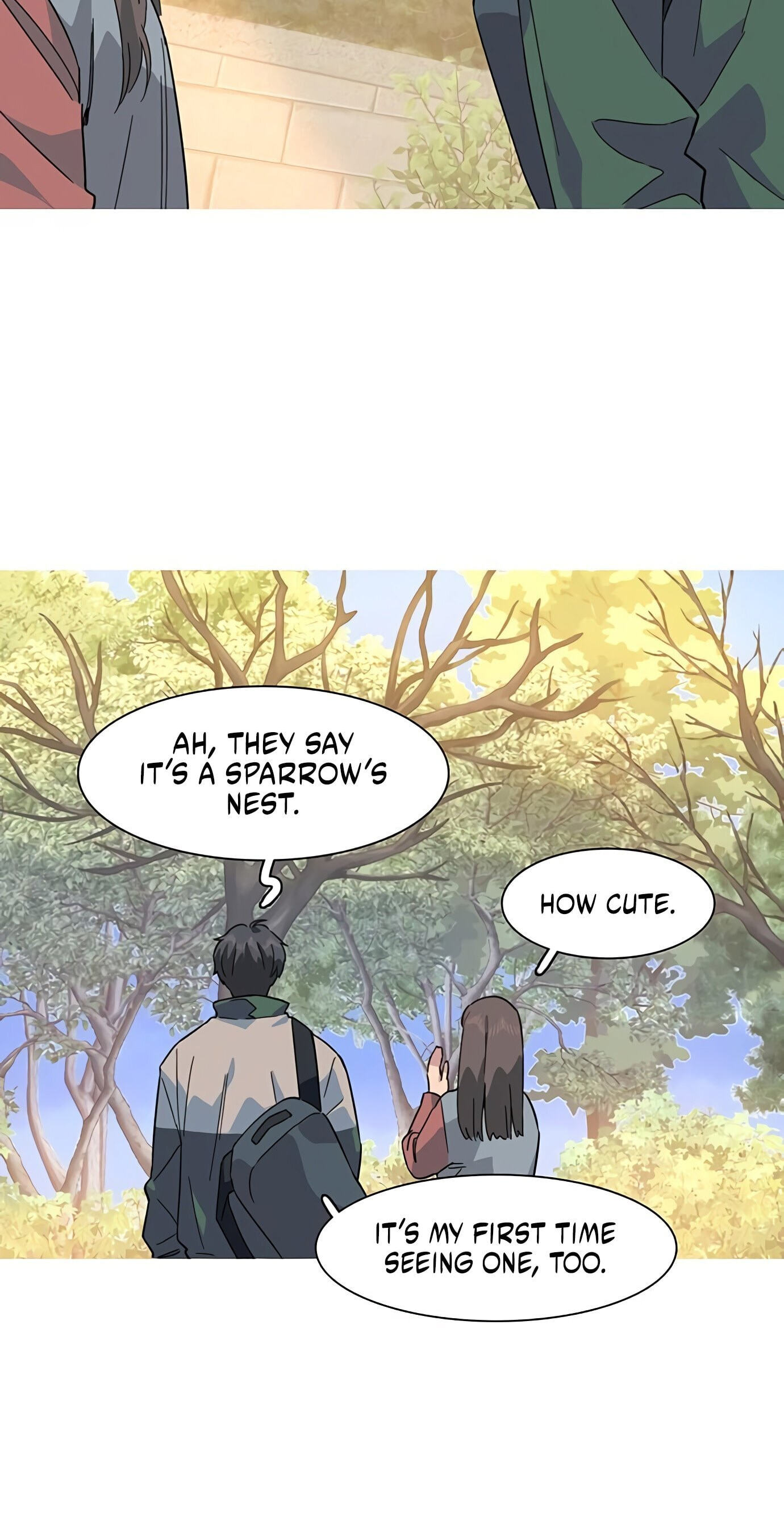 Youth Observation Chapter 6 page 74 - 