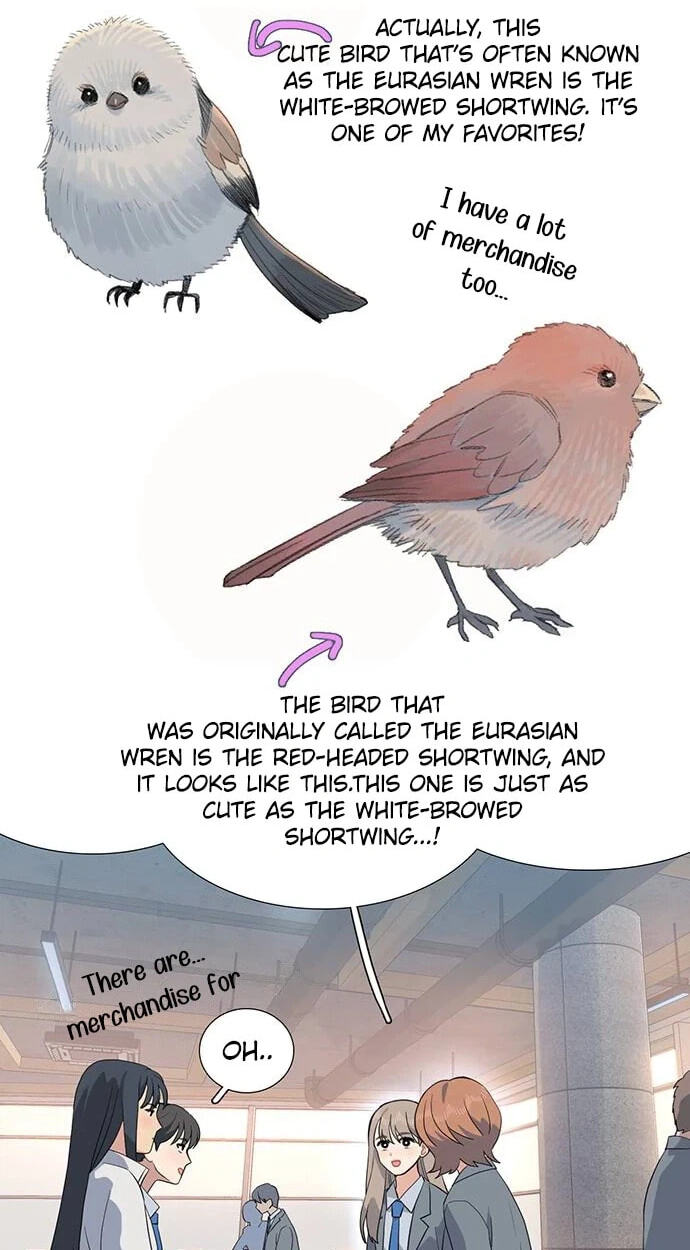 Youth Observation Chapter 8 page 50 - 