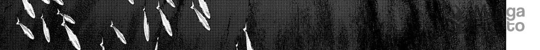 Read Yozakura Quartet chapter 149 image 49 on Lezhin