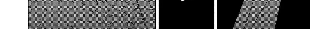 Read Yozakura Quartet chapter 159 image 43 on Lezhin