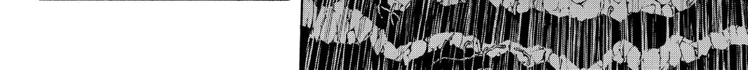 Read Yozakura Quartet chapter 85 image 27 on Lezhin