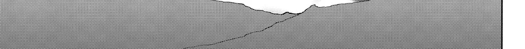 Read Yozakura Quartet chapter 99 image 13 on Lezhin