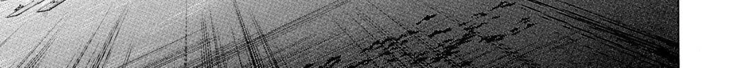 Read Yu-Gi-Oh Duelist chapter 178 image 37 on Lezhin