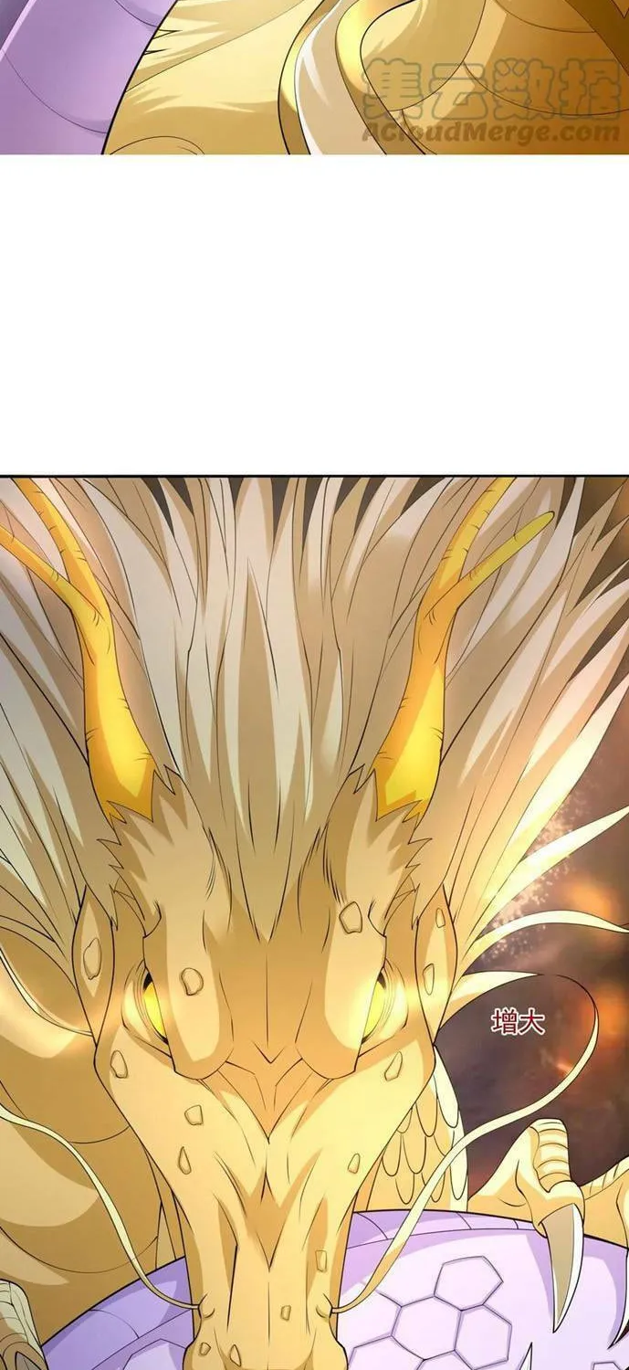 Read Yuan Long chapter 308 image 13 on Lezhin