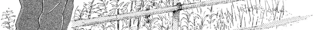 Yuria's Red String Chapter 1 page 52 - 