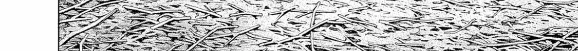 Read Zashisu chapter 4 image 60 on Lezhin