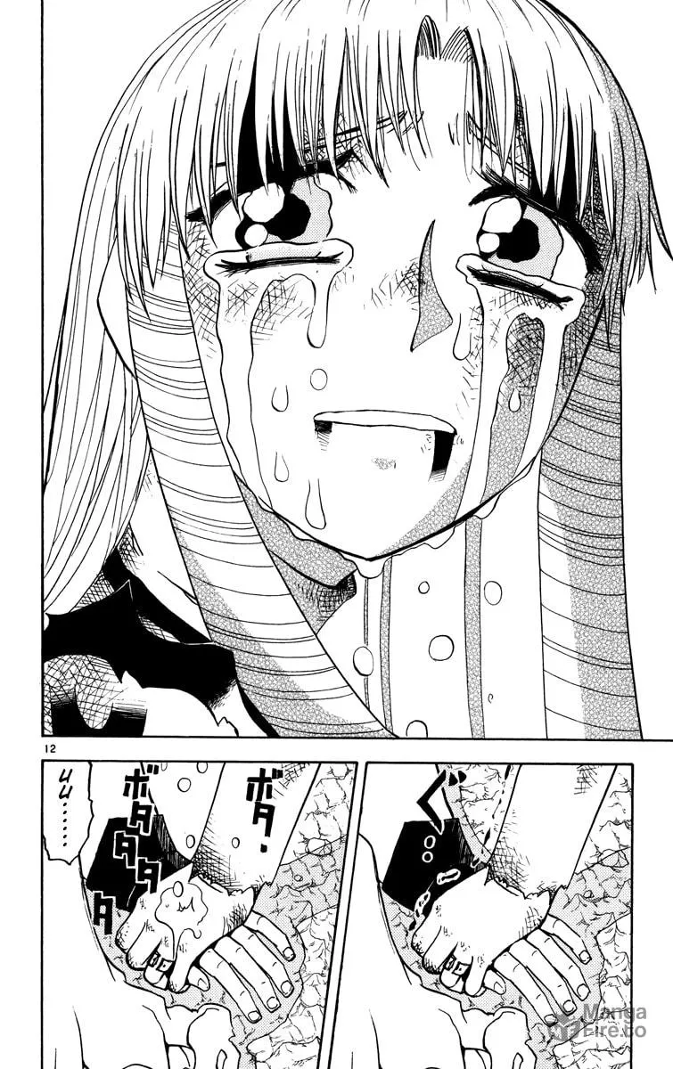 Read Zatch Bell! chapter 161 image 11 on Lezhin