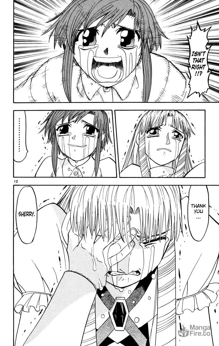 Read Zatch Bell! chapter 162 image 11 on Lezhin