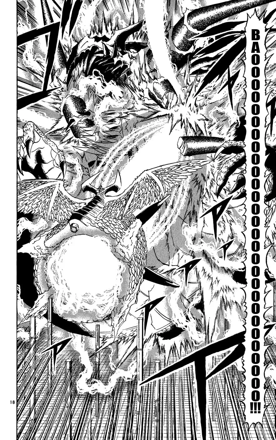 Read Zatch Bell! chapter 262 image 16 on Lezhin