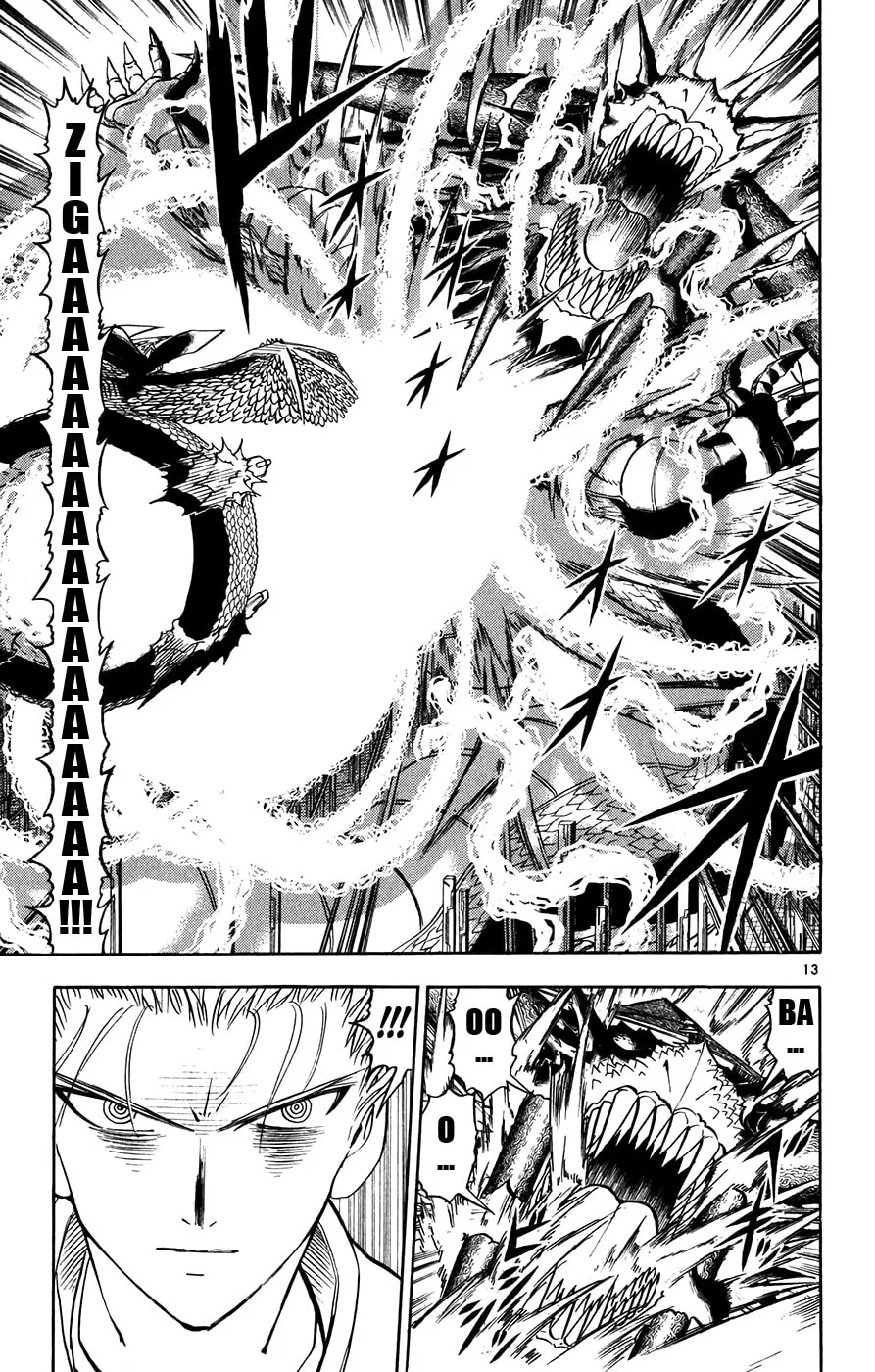 Read Zatch Bell! chapter 271 image 12 on Lezhin