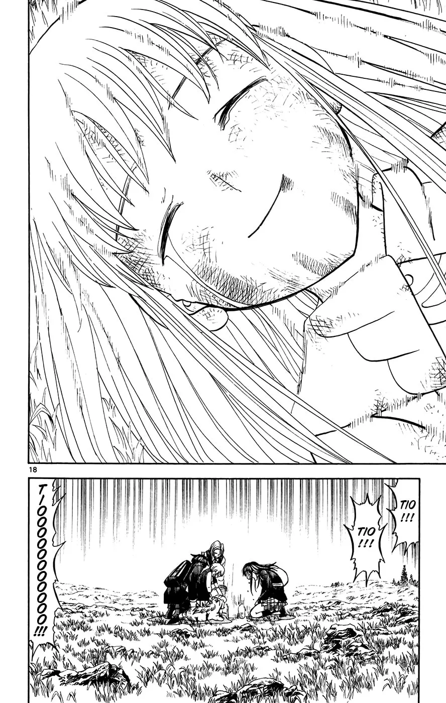 Read Zatch Bell! chapter 309 image 15 on Lezhin