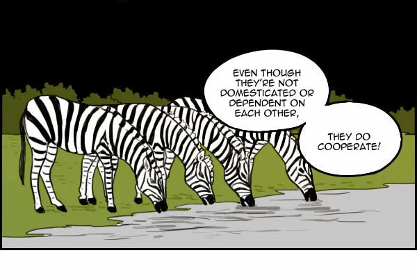 Read Zebra chapter 25 image 11 on Lezhin