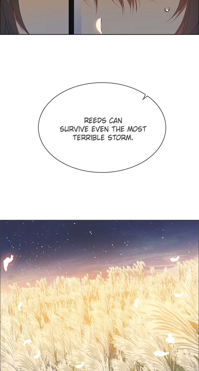Read Zero Game chapter 243 image 46 on Lezhin