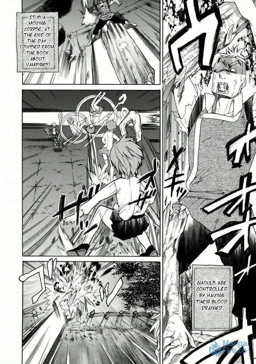 Zero no Tsukaima Gaiden Tabitha no Bouken Chapter 7 page 25 - 