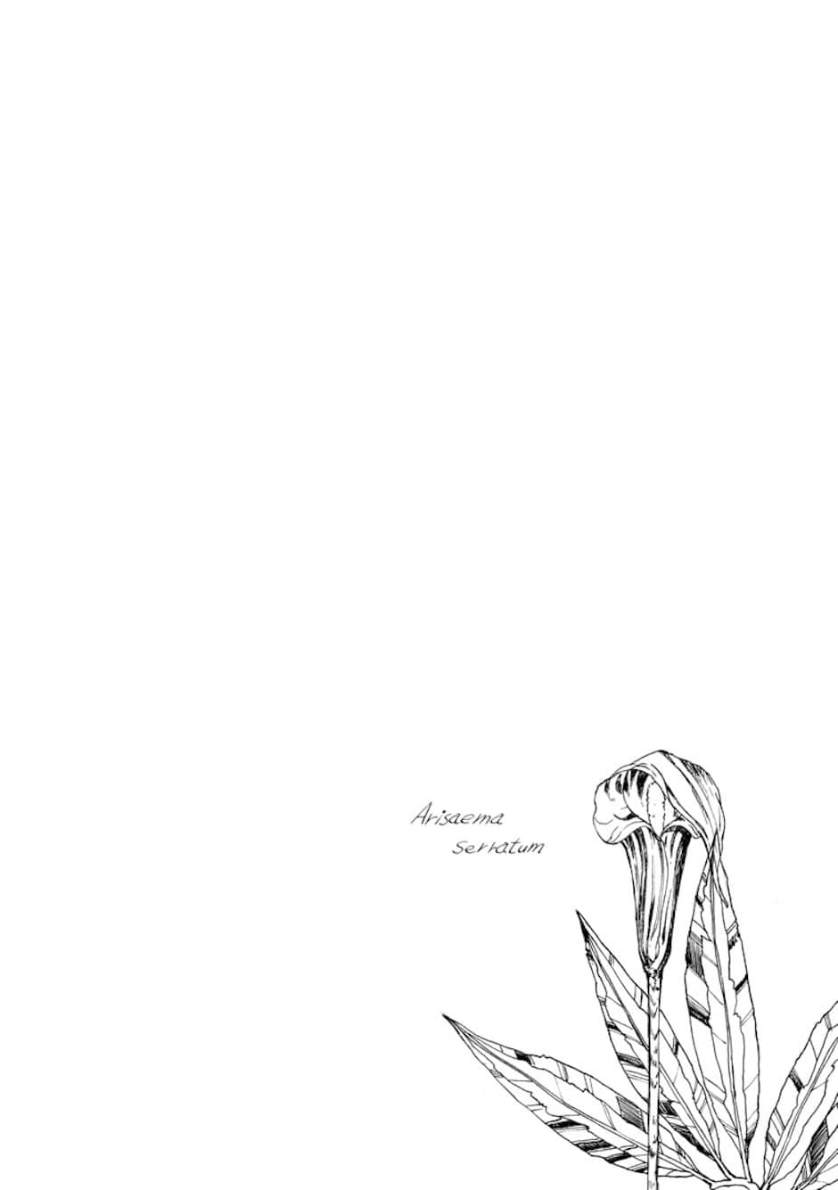 Zhenniao Chapter 6 page 13 - 