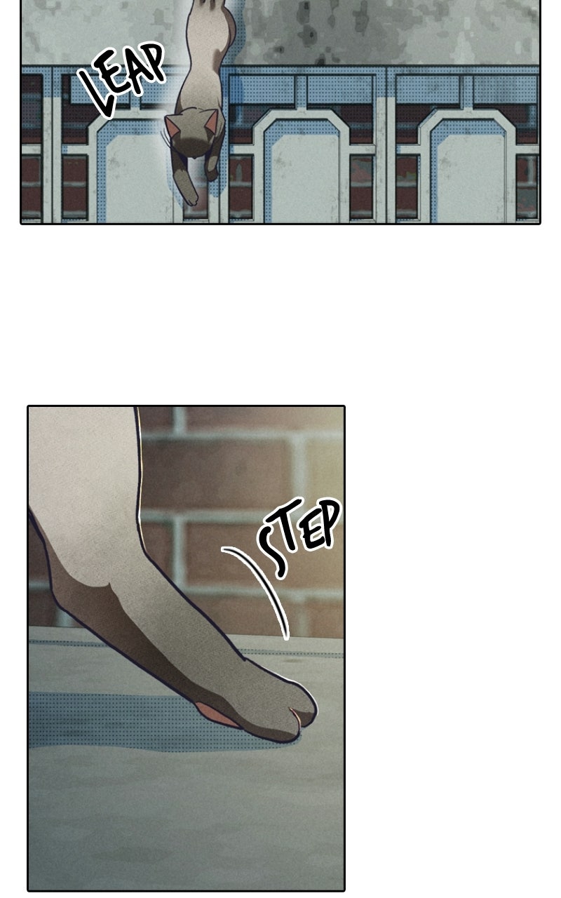 Read Zodiac Girls chapter 3 image 71 on Lezhin