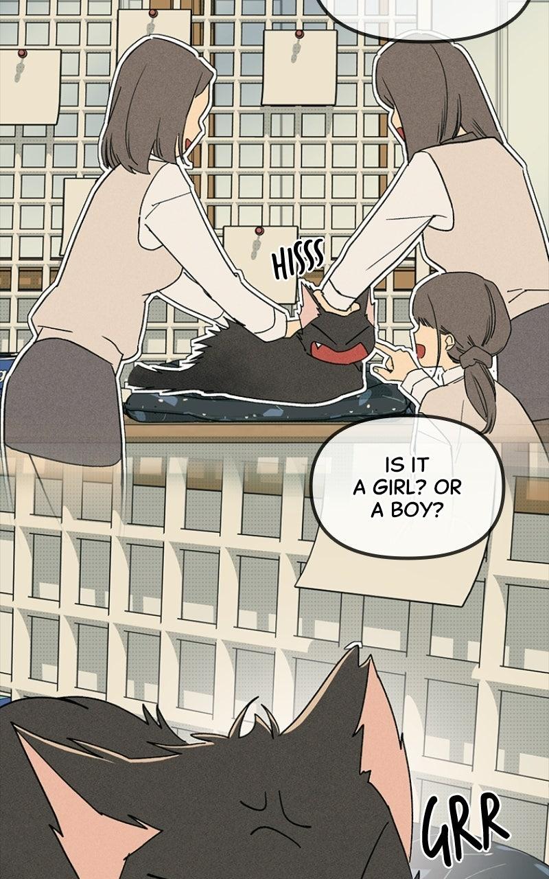 Read Zodiac Girls chapter 33 image 65 on Lezhin