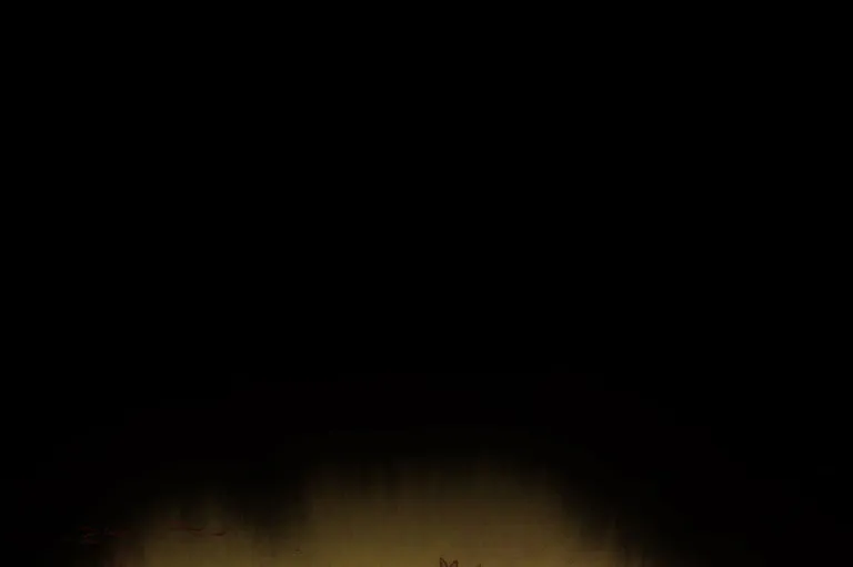 Zodiac: Twelve Souls Chapter 77 page 4 - 