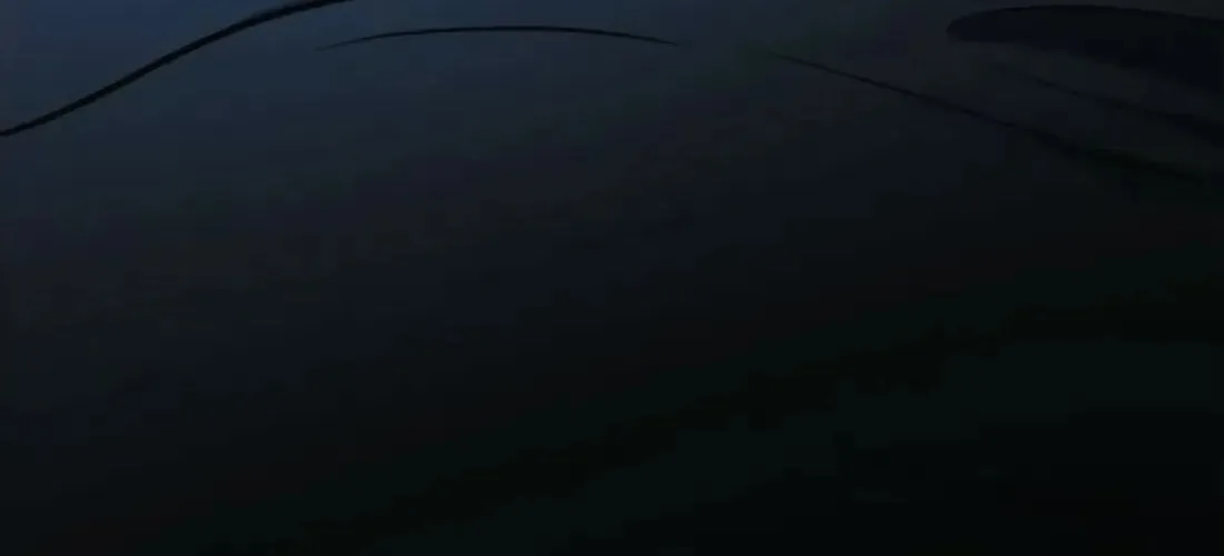Read Zombie Papa chapter 8 image 239 on Lezhin
