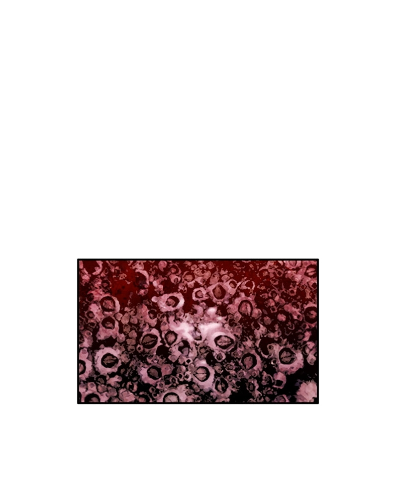 Read Zombie Ship chapter 30 image 8 on Lezhin