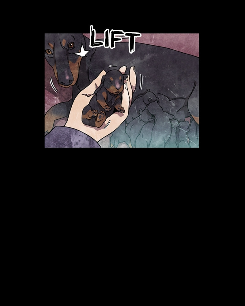 Read Zombie Ship chapter 39 image 6 on Lezhin