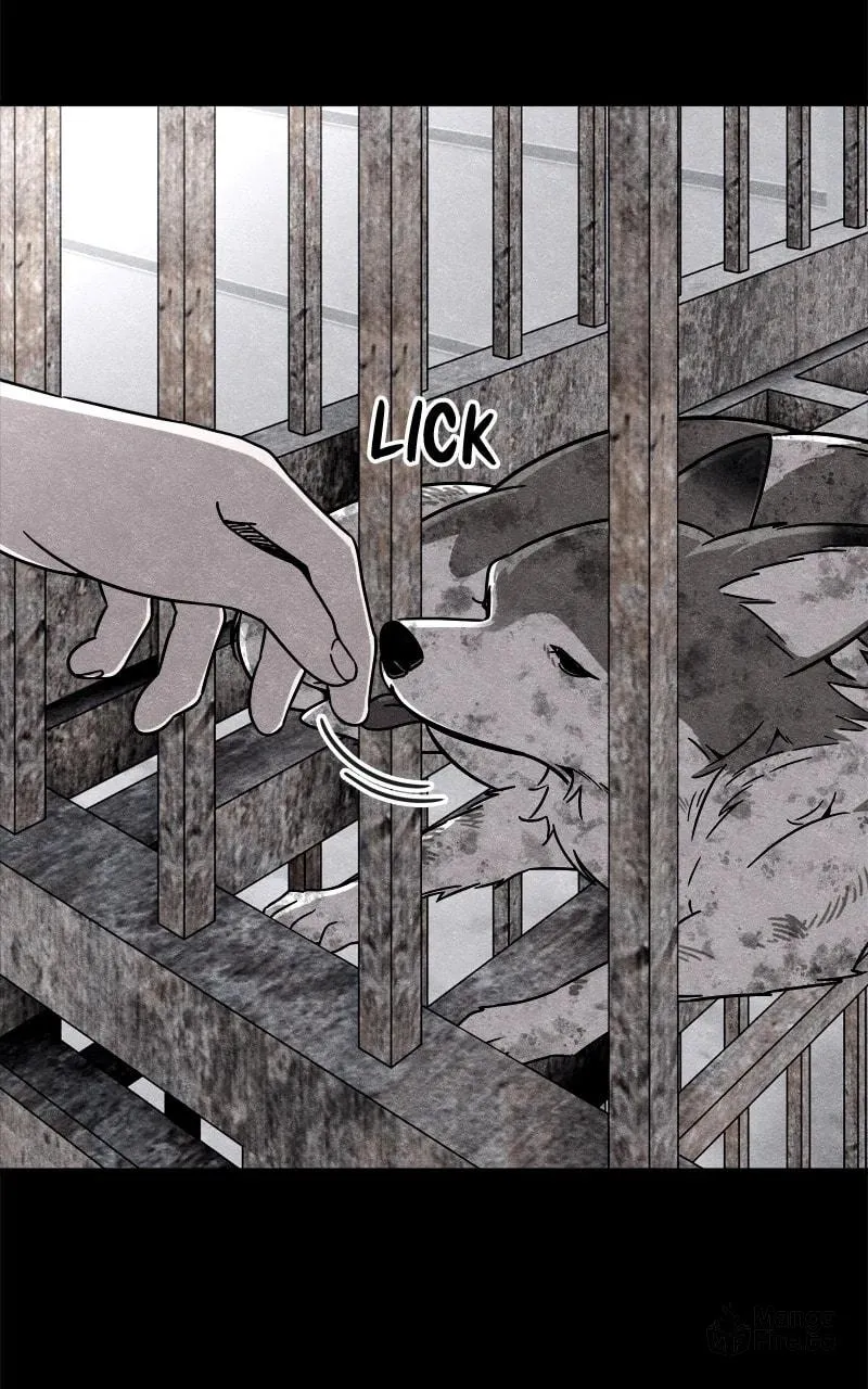 Read Zombie X Slasher chapter 80 image 104 on Lezhin