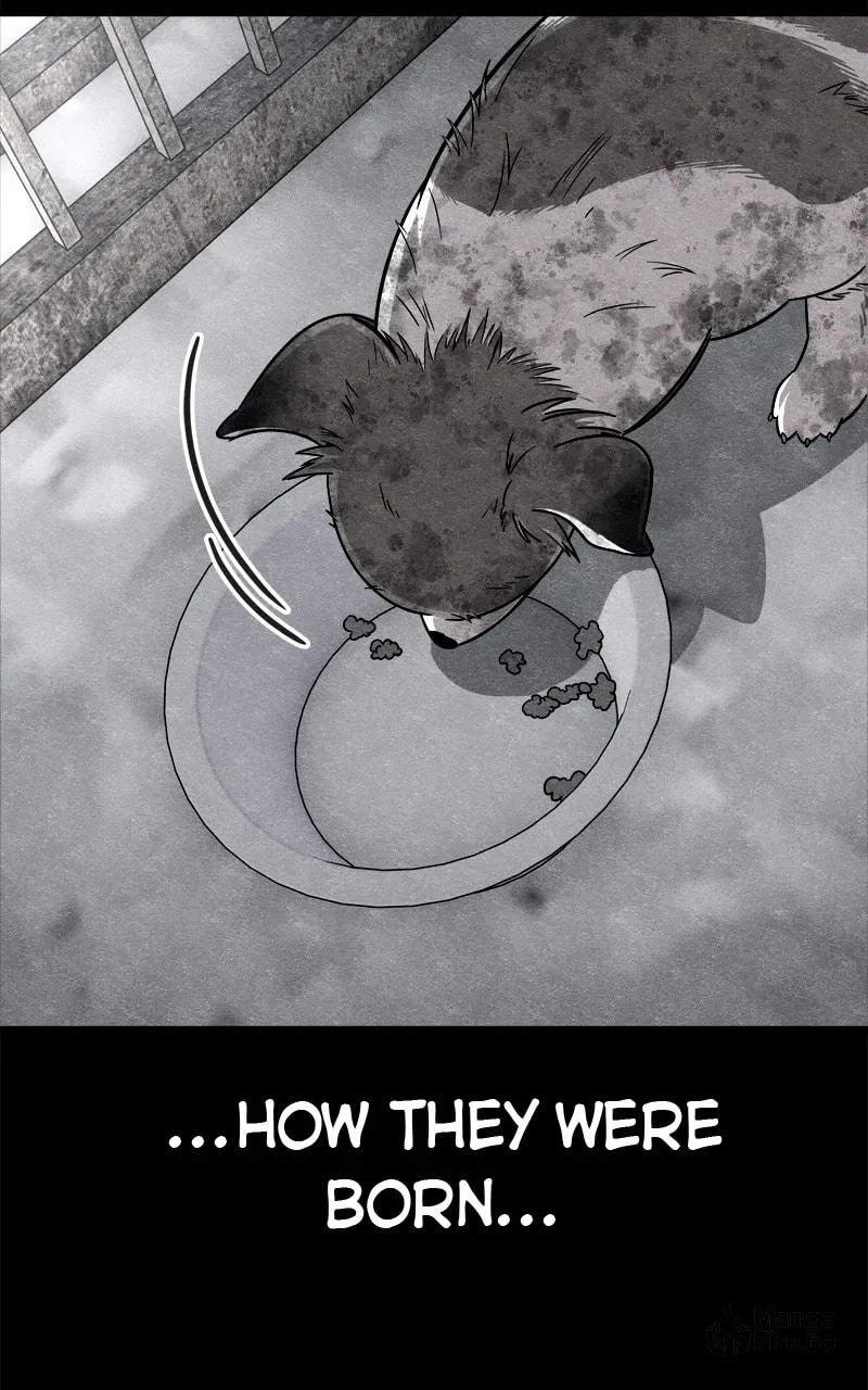 Read Zombie X Slasher chapter 80 image 107 on Lezhin