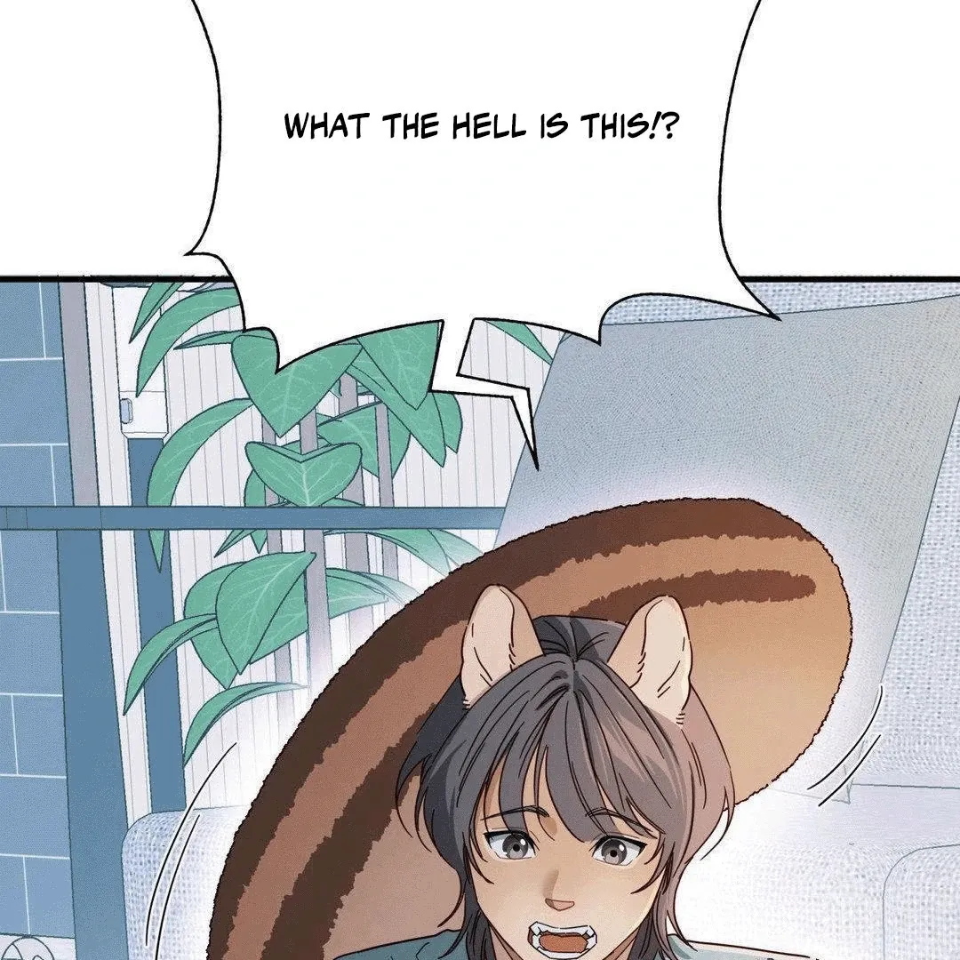 Zoo's Panic Chapter 2 page 151 - 