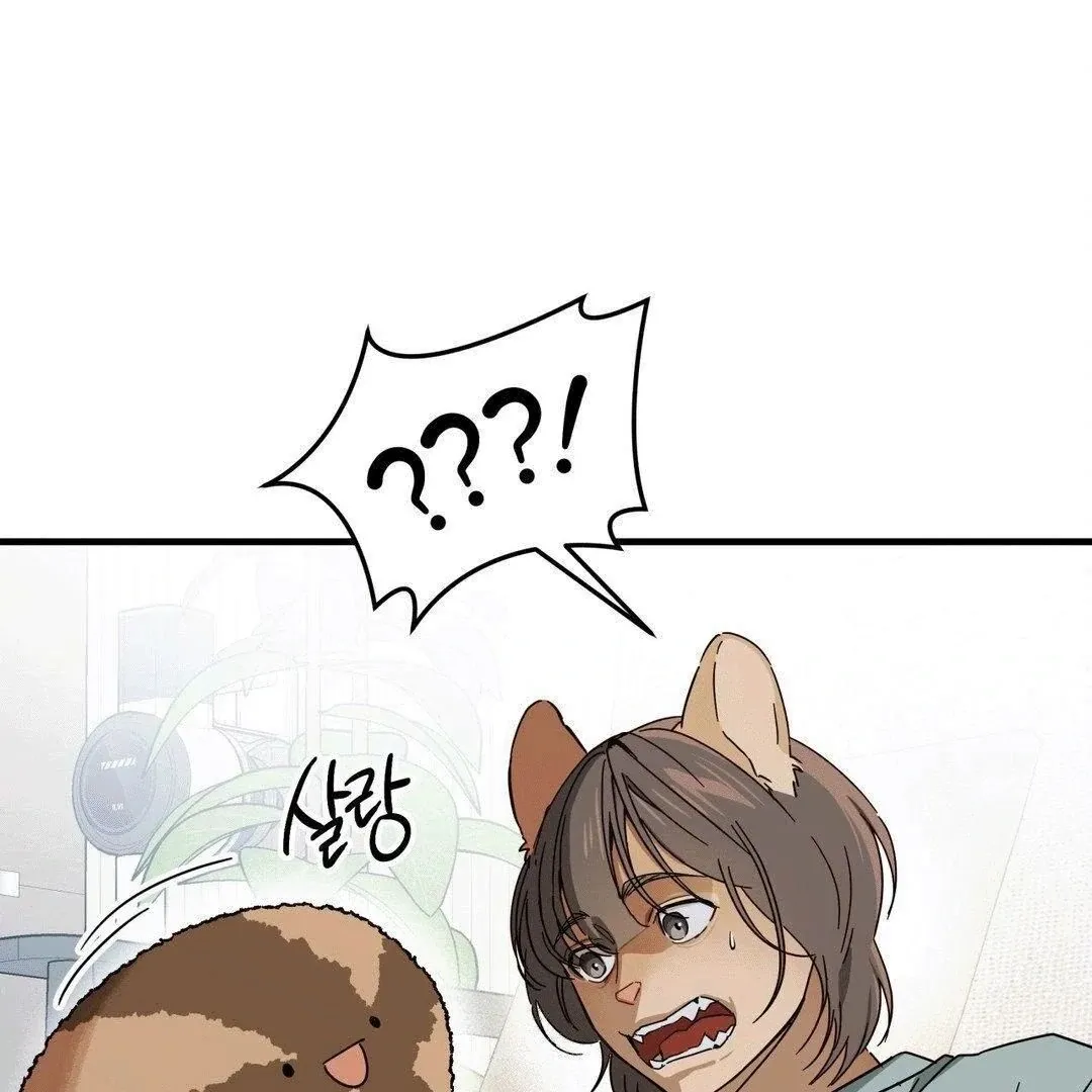 Zoo's Panic Chapter 3 page 2 - 