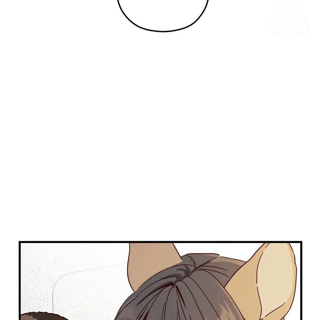 Zoo's Panic Chapter 3 page 38 - 