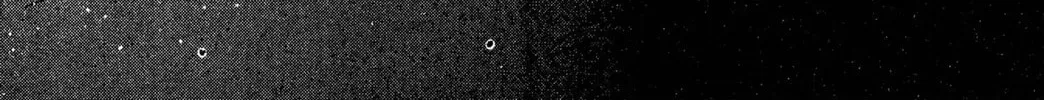 Zyword Chapter 2 page 142 - 
