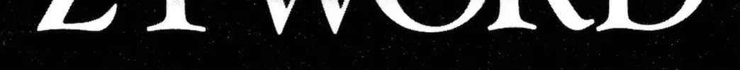 Zyword Chapter 2 page 4 - 